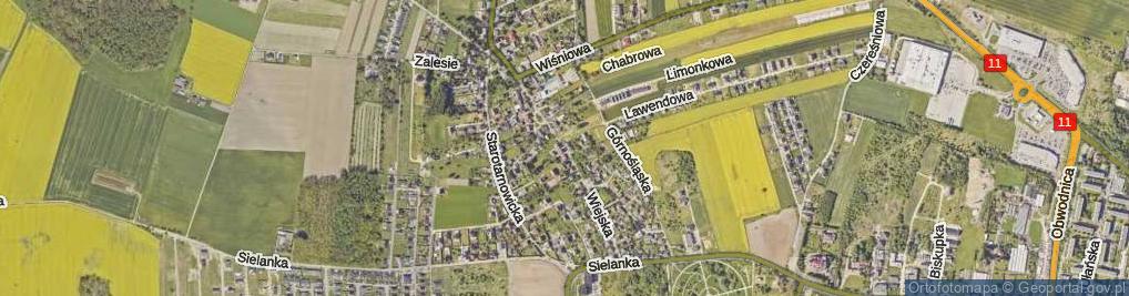 Zdjęcie satelitarne Wiejska ul.